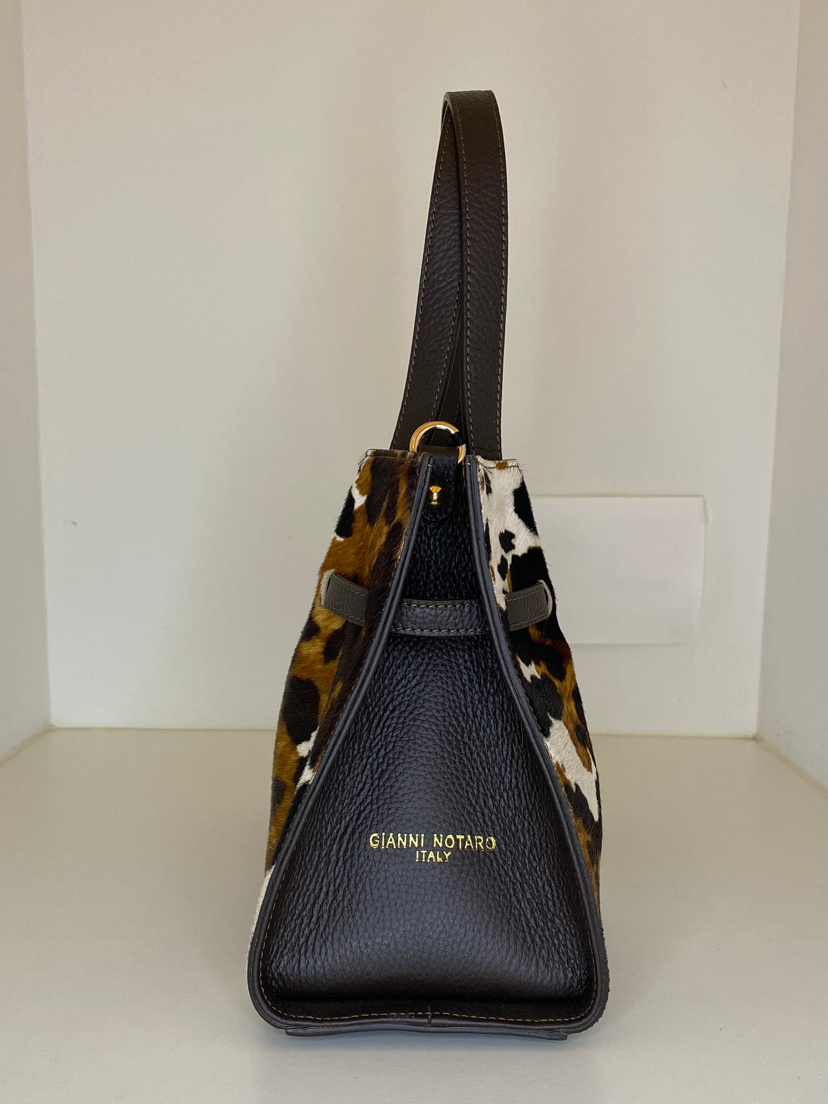 Gianni Notaro 340  cow dollaro   bruin