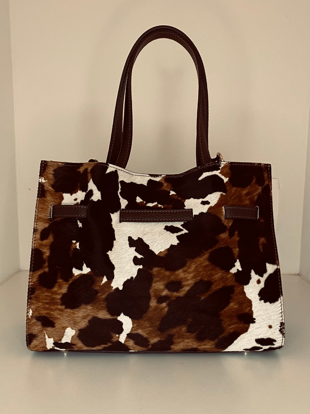 Gianni Notaro 340  cow dollaro   bruin