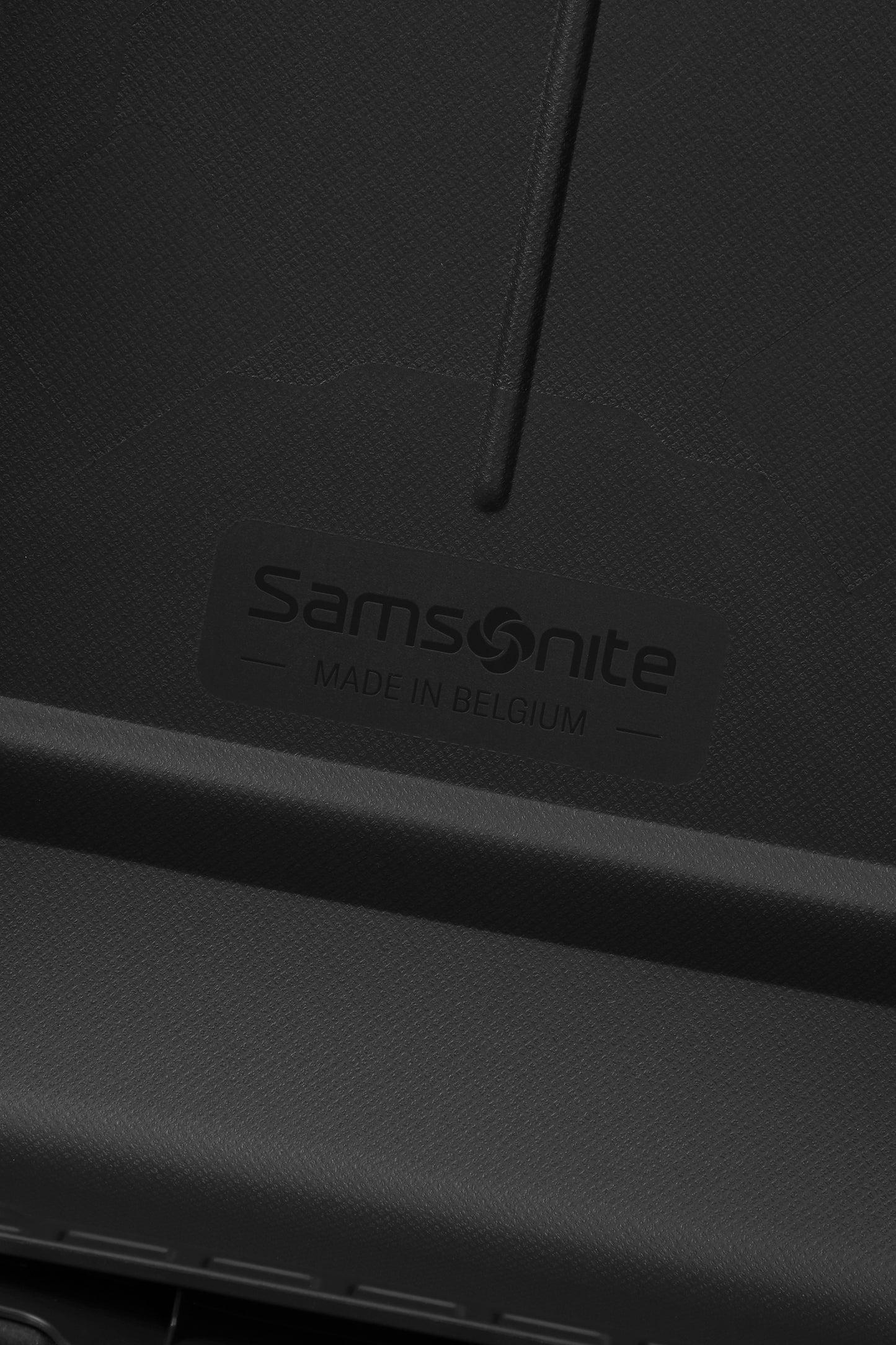 Samsonite ESSENS  spinner 55  graphite